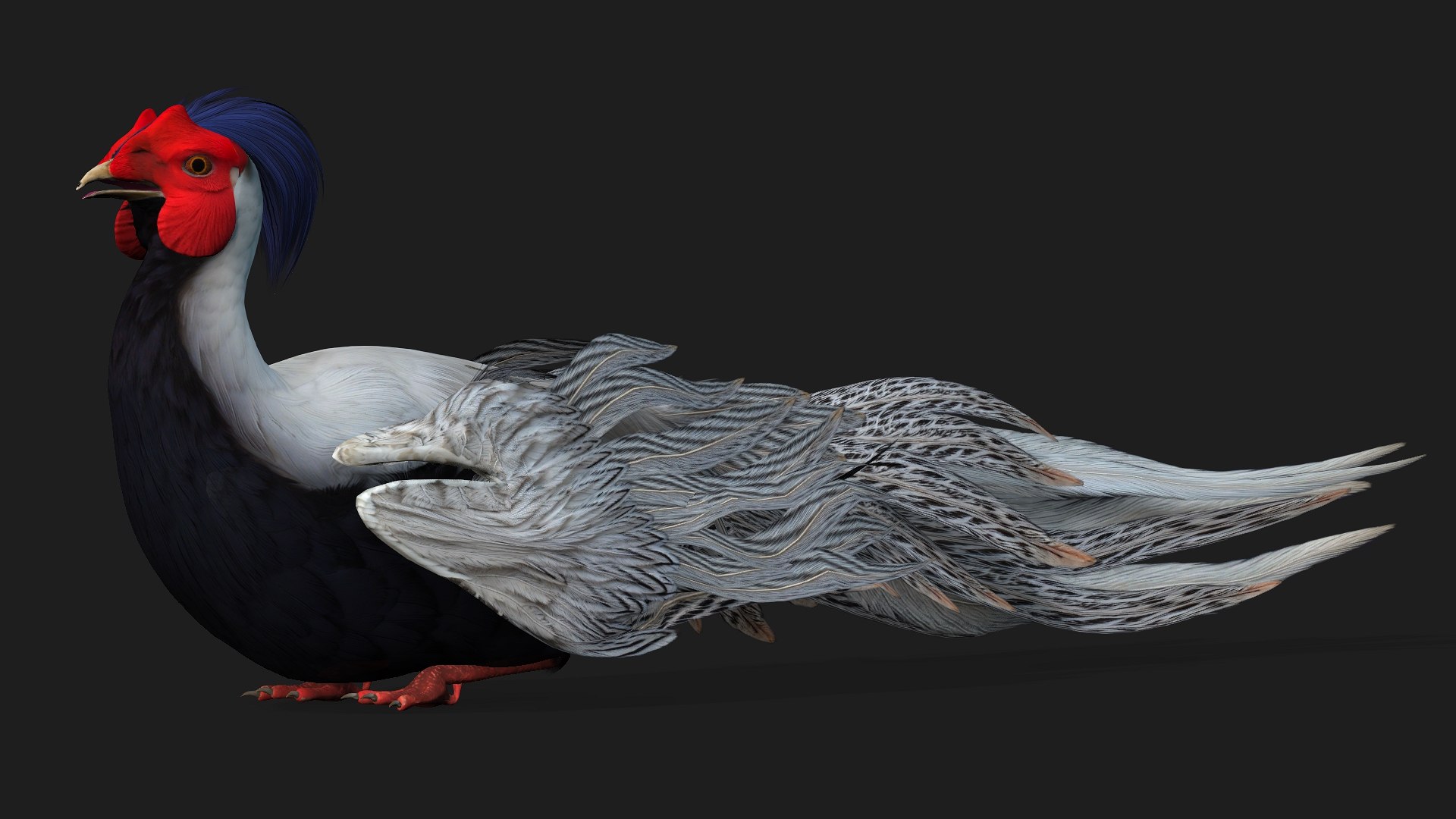 3D White Pheasant-A1 https://p.turbosquid.com/ts-thumb/IV/4PeS7Z/vO/preview14/jpg/1759465276/1920x1080/fit_q87/620666b65cc152a6736cd0385eeea7e03bebaaf5/preview14.jpg