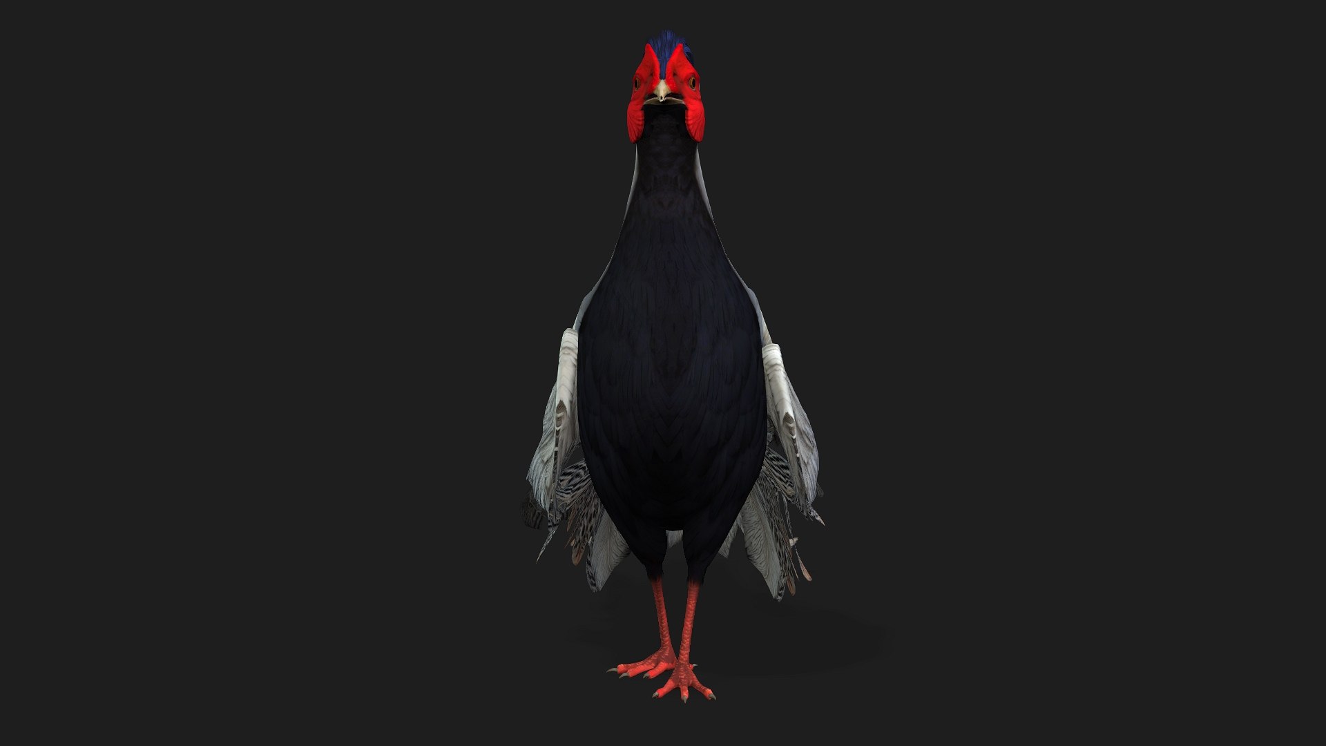 3D White Pheasant-A1 https://p.turbosquid.com/ts-thumb/IV/4PeS7Z/yY/preview03/jpg/1759465267/1920x1080/fit_q87/82bc0f83e564d14ec9a69e0dc0edec27780d01e9/preview03.jpg