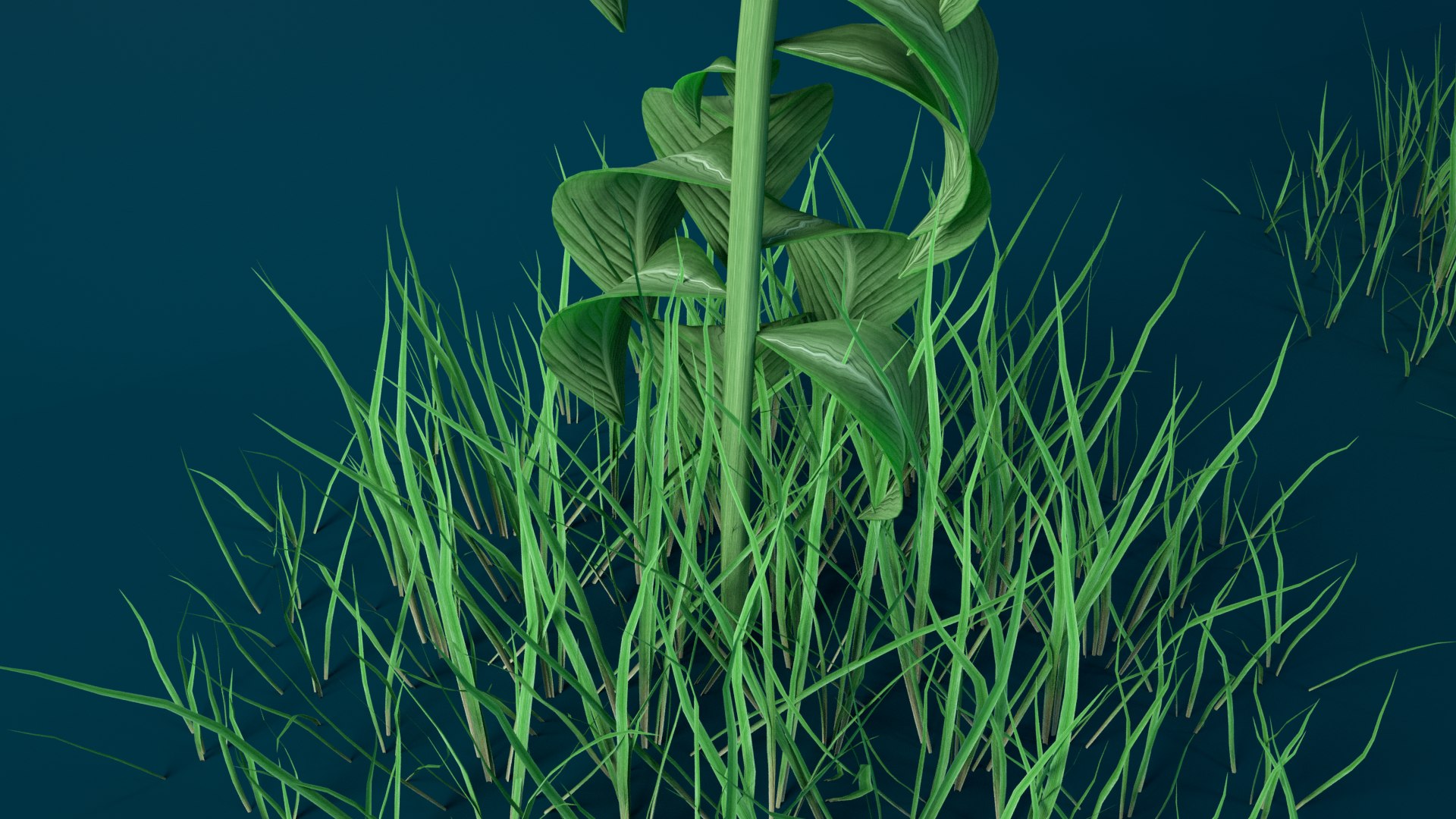 3D rigged orange flower model https://p.turbosquid.com/ts-thumb/IV/7YOxoy/wxRb6LJQ/3_0344/png/1543132636/1920x1080/fit_q87/55c17732118585c2a7caed85312ee2fc2c67fa71/3_0344.jpg
