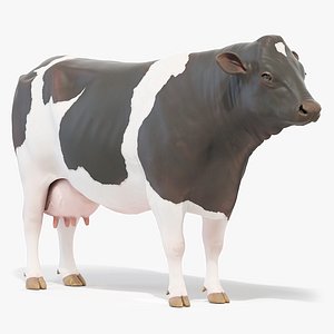 Cow Body Static 3D model