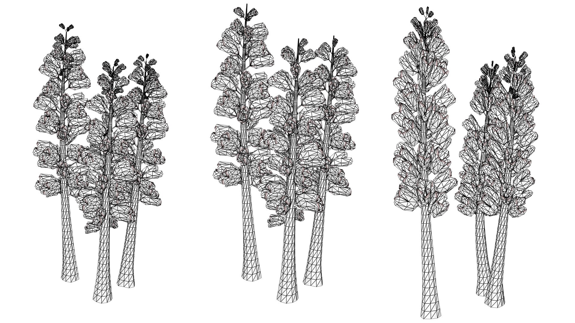British Thyme Broomrape 3D Asset 3D https://p.turbosquid.com/ts-thumb/IV/LXGCQW/1y/wirel/jpg/1757435142/1920x1080/fit_q87/23fc230181067e8a5e8005adc85f72d91b2ac8cd/wirel.jpg
