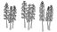 British Thyme Broomrape 3D Asset