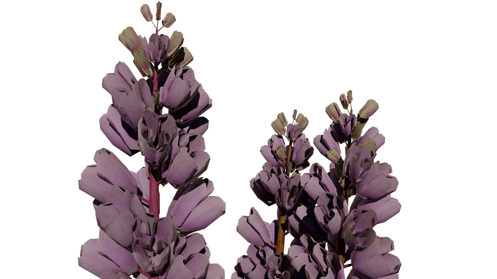 British Thyme Broomrape 3D Asset 3D https://p.turbosquid.com/ts-thumb/IV/LXGCQW/5x/britishthymebroomrapeveriation32l/jpg/1757435139/1920x1080/fit_q87/bbcc0eb12268fb37811e5d352962d73f5fee4229/britishthymebroomrapeveriation32l.jpg