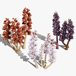 British Thyme Broomrape 3D Asset 3D