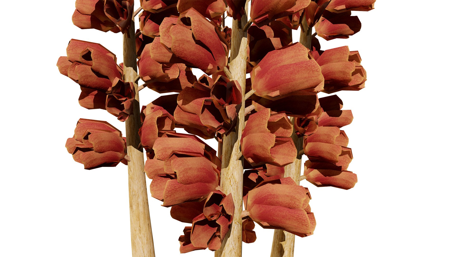 British Thyme Broomrape 3D Asset 3D https://p.turbosquid.com/ts-thumb/IV/LXGCQW/g4/britishthymebroomrapefirstveriation1l/jpg/1757435139/1920x1080/fit_q87/05c40ec6c74f9a4cc9d46f36f7ec5d97f67cd90d/britishthymebroomrapefirstveriation1l.jpg