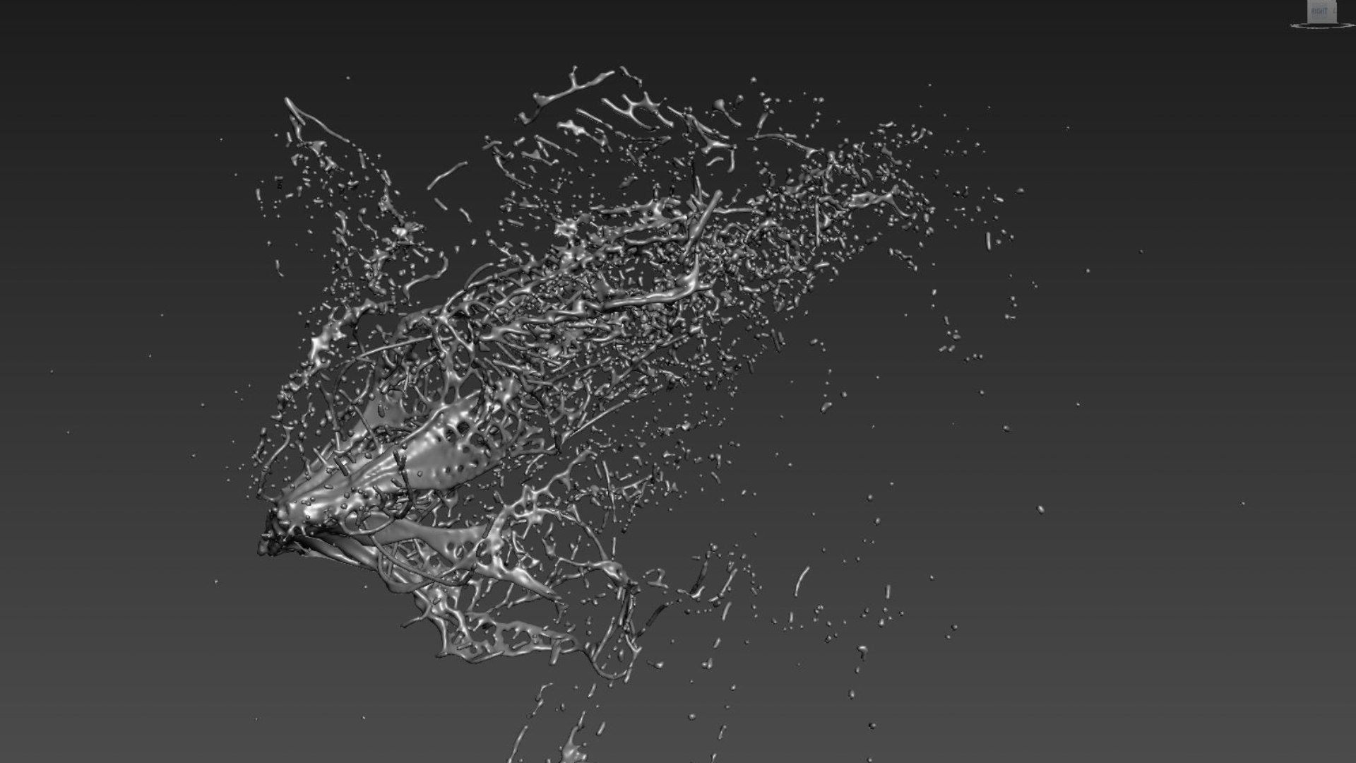 3D Water Splash Animation And Model Model - TurboSquid 1944417