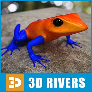Poison dart frog 04 by 3DRivers