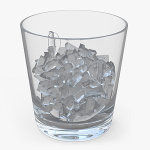 3D model Champagne Cooler and Ice
