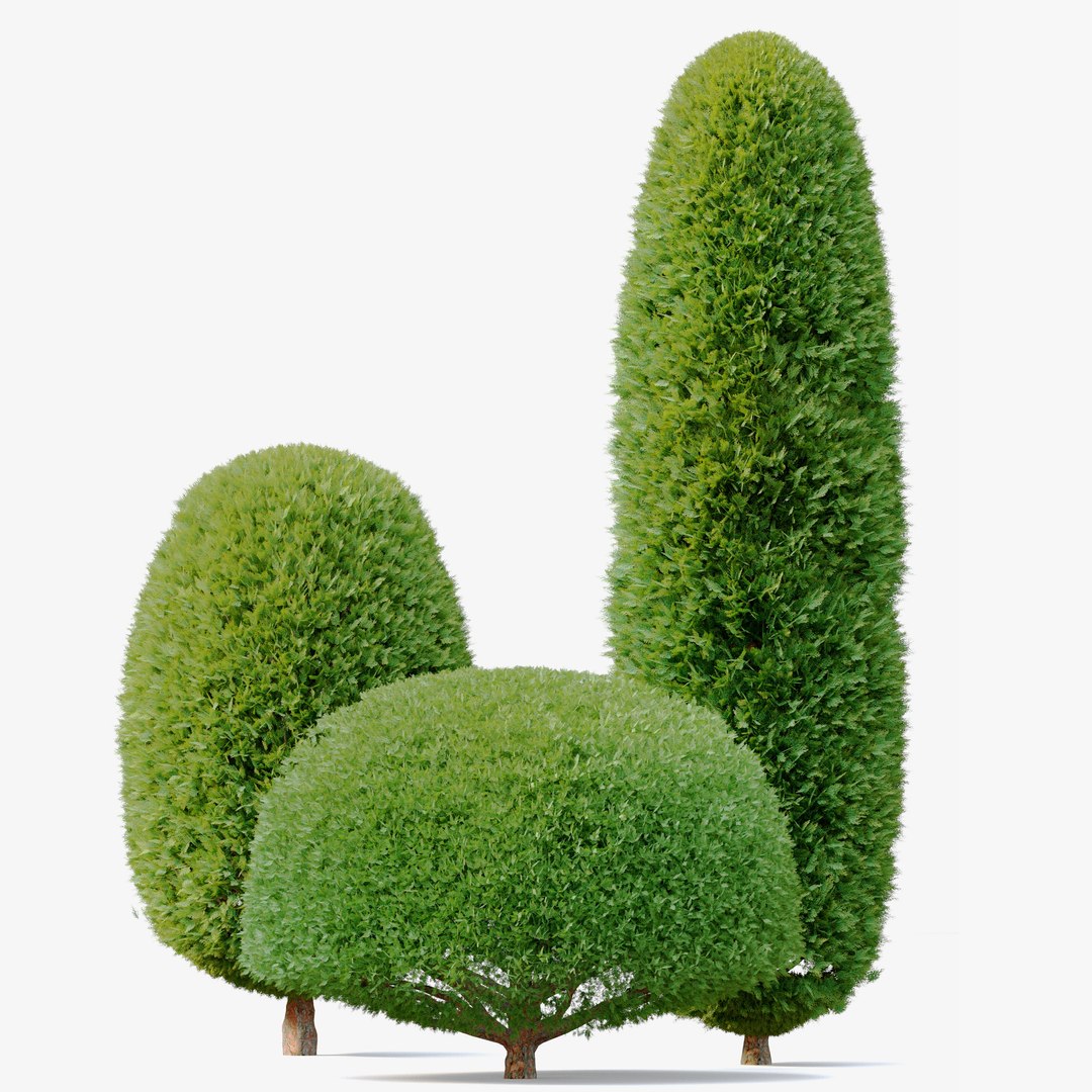 3D Model Thuja Shrub 02 - TurboSquid 1937758