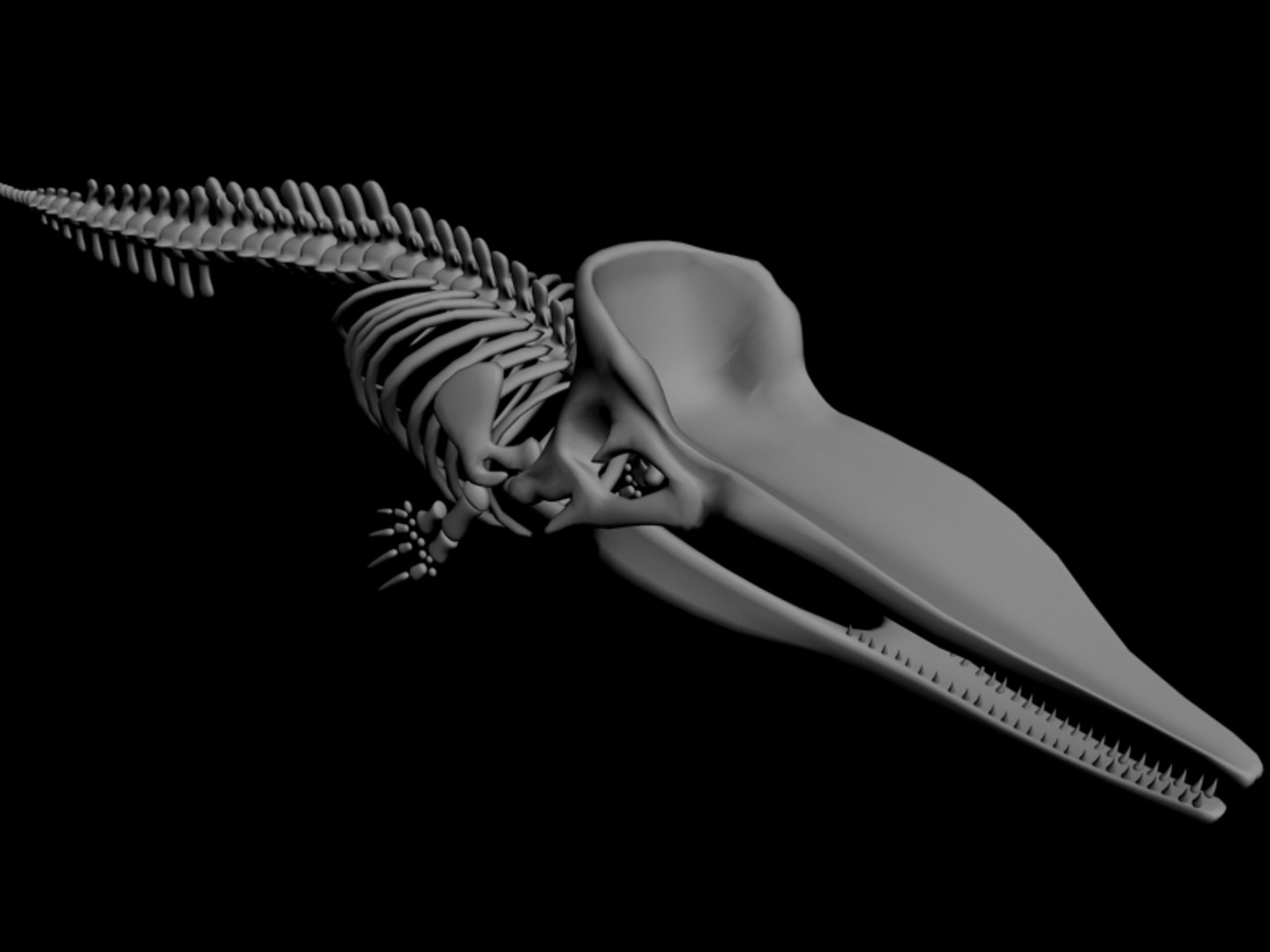 3d Max Sperm Whale Skeleton Animal