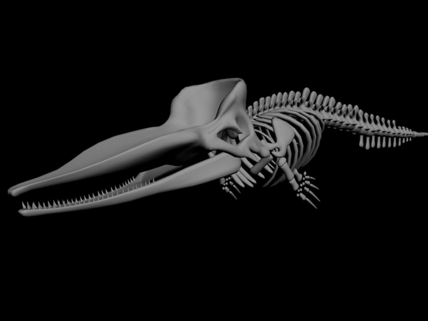 3d Max Sperm Whale Skeleton Animal