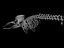 3d max sperm whale skeleton animal