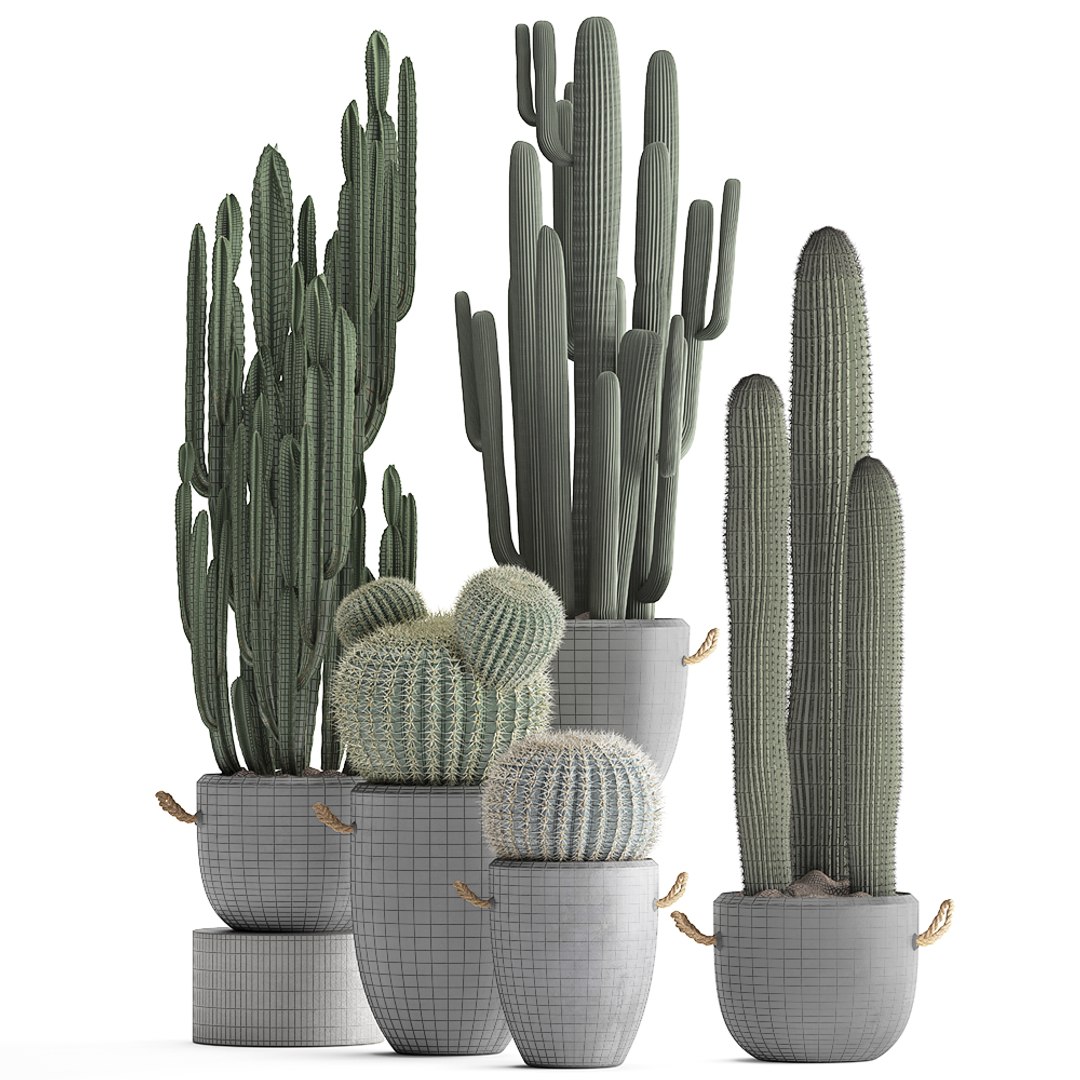 plants exotic cactus 3D model https://p.turbosquid.com/ts-thumb/IW/7tlfN1/Iyft1iac/cactusset1811201908/jpg/1574264401/1920x1080/fit_q87/94716bb36a50a0f74023a4db6dd147780f434ba0/cactusset1811201908.jpg