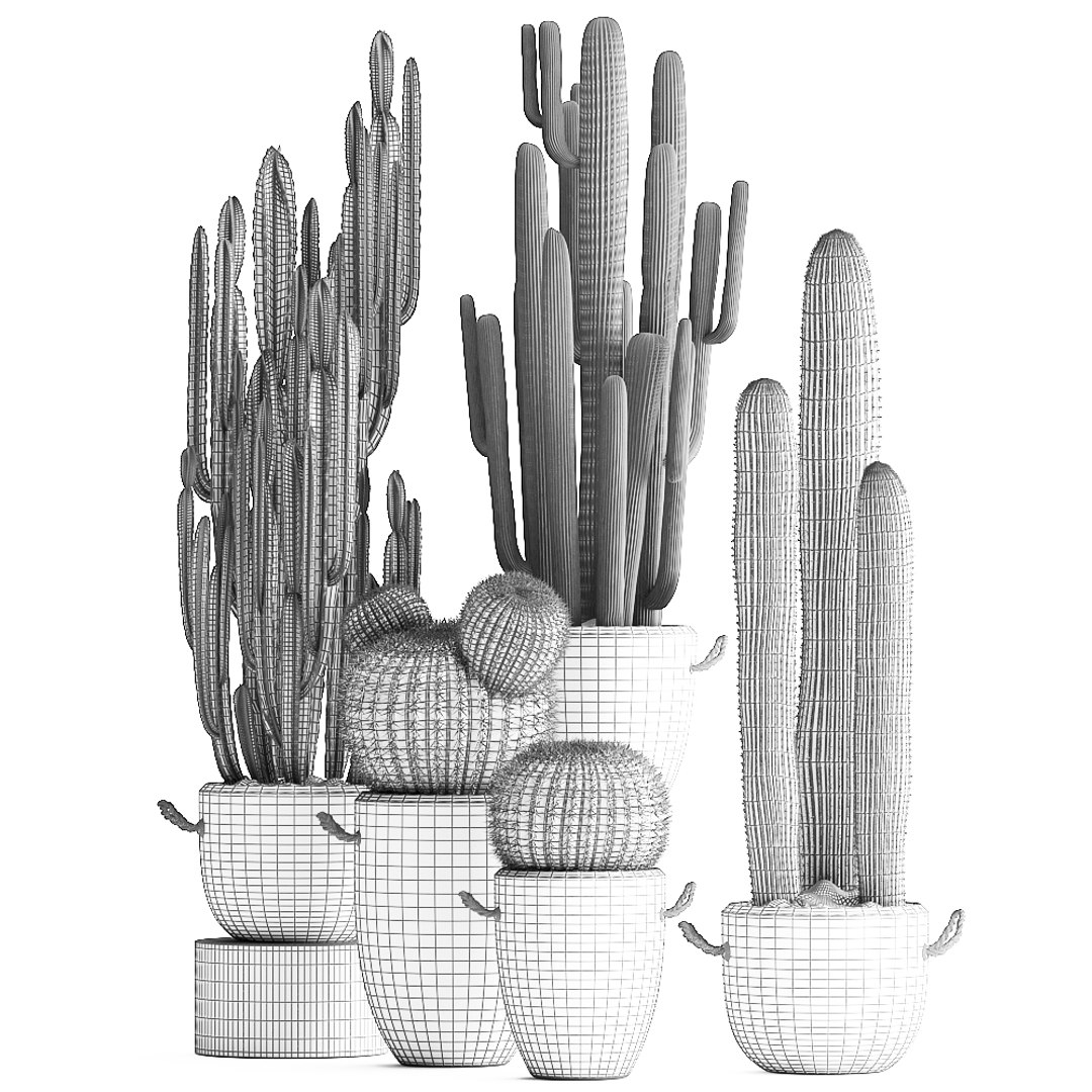 plants exotic cactus 3D model https://p.turbosquid.com/ts-thumb/IW/7tlfN1/YY3YWSKE/cactusset1811201909/jpg/1574264401/1920x1080/fit_q87/8b7aa9e663000b3176ac7965a21d10dac1671337/cactusset1811201909.jpg