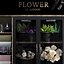 shop display refrigerated flower 3D model