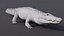3D model Nile Crocodile ANIMATED