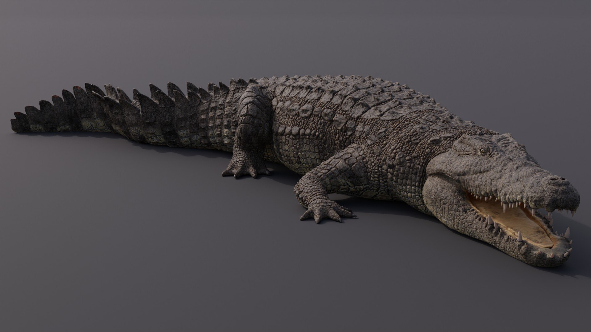 3D model Nile Crocodile ANIMATED - TurboSquid 1760026