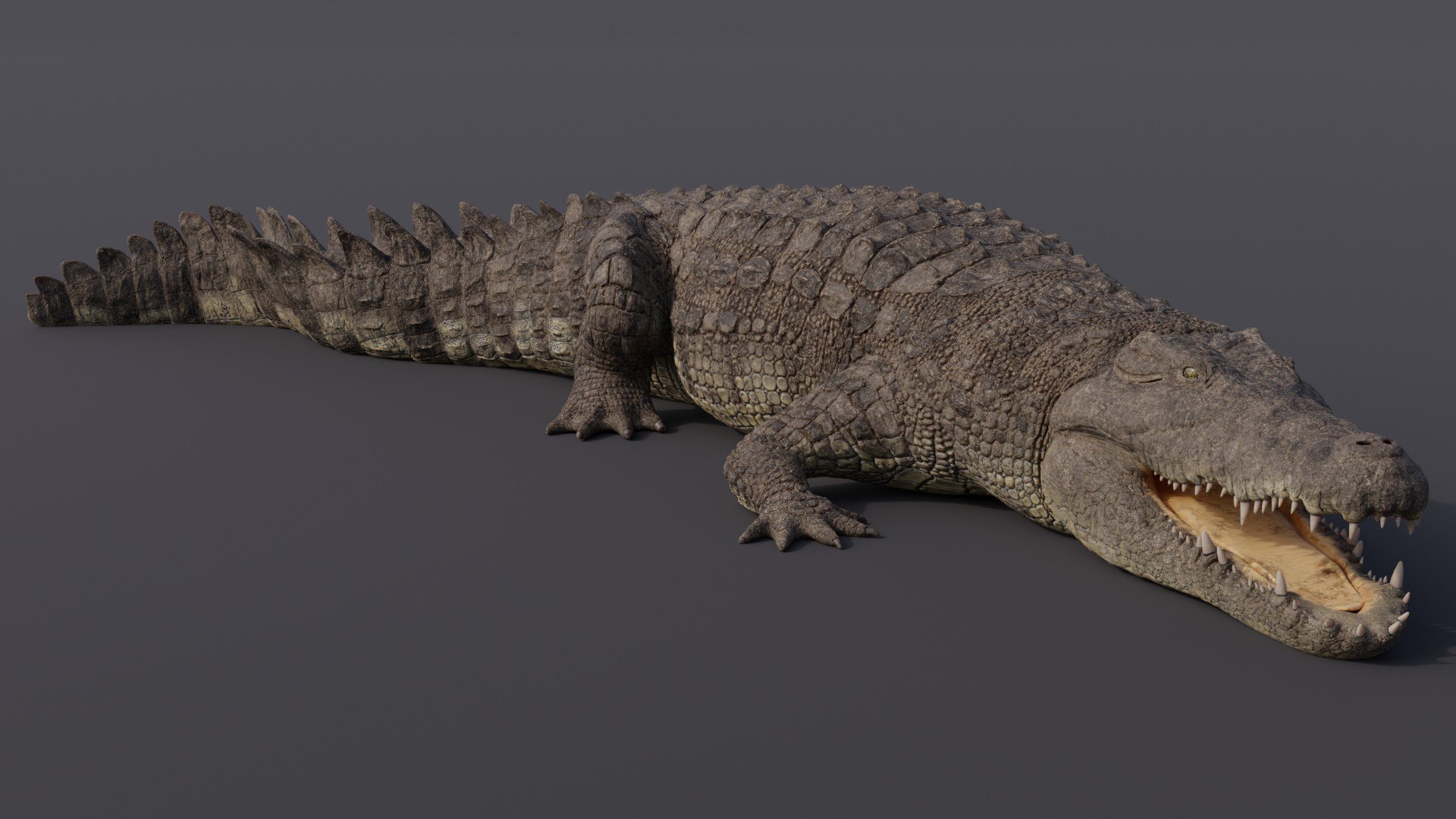 3D model Nile Crocodile ANIMATED - TurboSquid 1760026