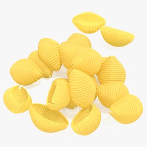 Shells Pasta