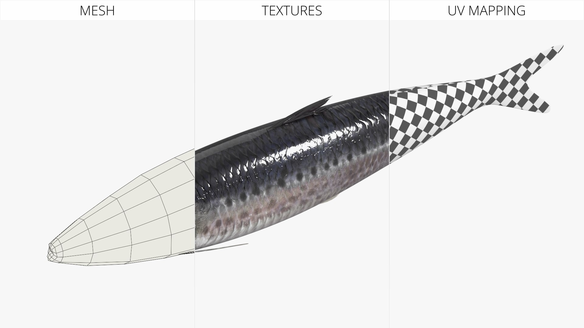 Sardine Rigged For Blender Animated Set 3D model https://p.turbosquid.com/ts-thumb/IW/wR0GXK/8U/sardine_rigged_for_blender_animated_set_011/jpg/1789074616/1920x1080/fit_q87/e1e1b9a1adb7fa50c1258b23f25f6467e6430ae6/sardine_rigged_for_blender_animated_set_011.jpg