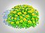 Euphorbia polychroma - Cushion Spurge 3D model