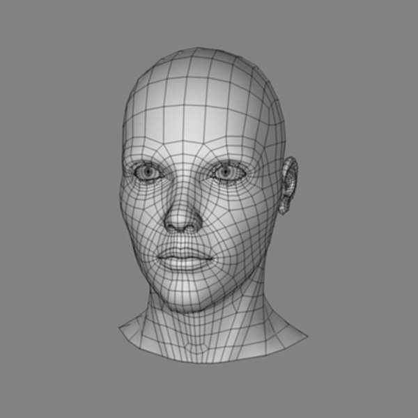 human head 3d model