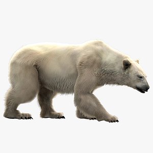 Polar Bear Fur Rigged