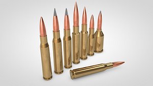 50 Caliber Cartridges