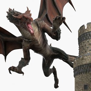 Crusader Knight King Protecting Castle from Dragon