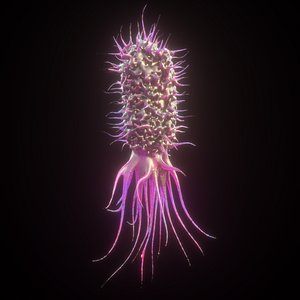E coli
