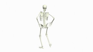 Skeleton Shopping Cart Dance 3D model