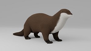 Otter HD 3D model