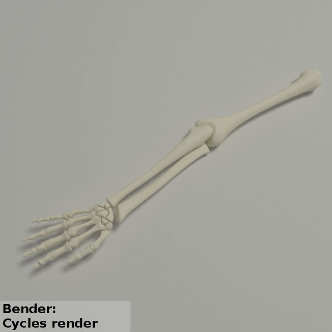 Obj Skeleton Arm Bones