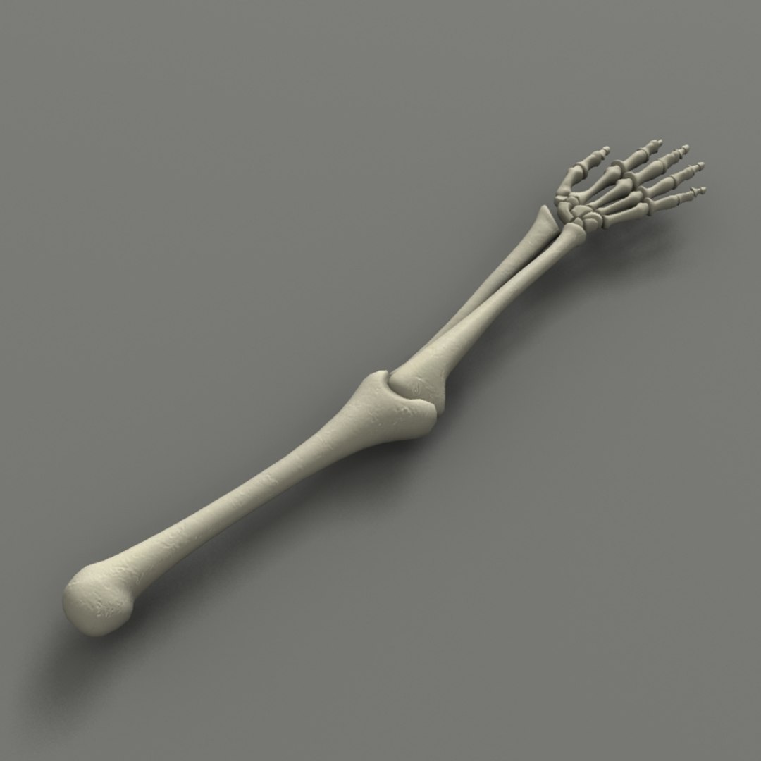 sa3.jpg