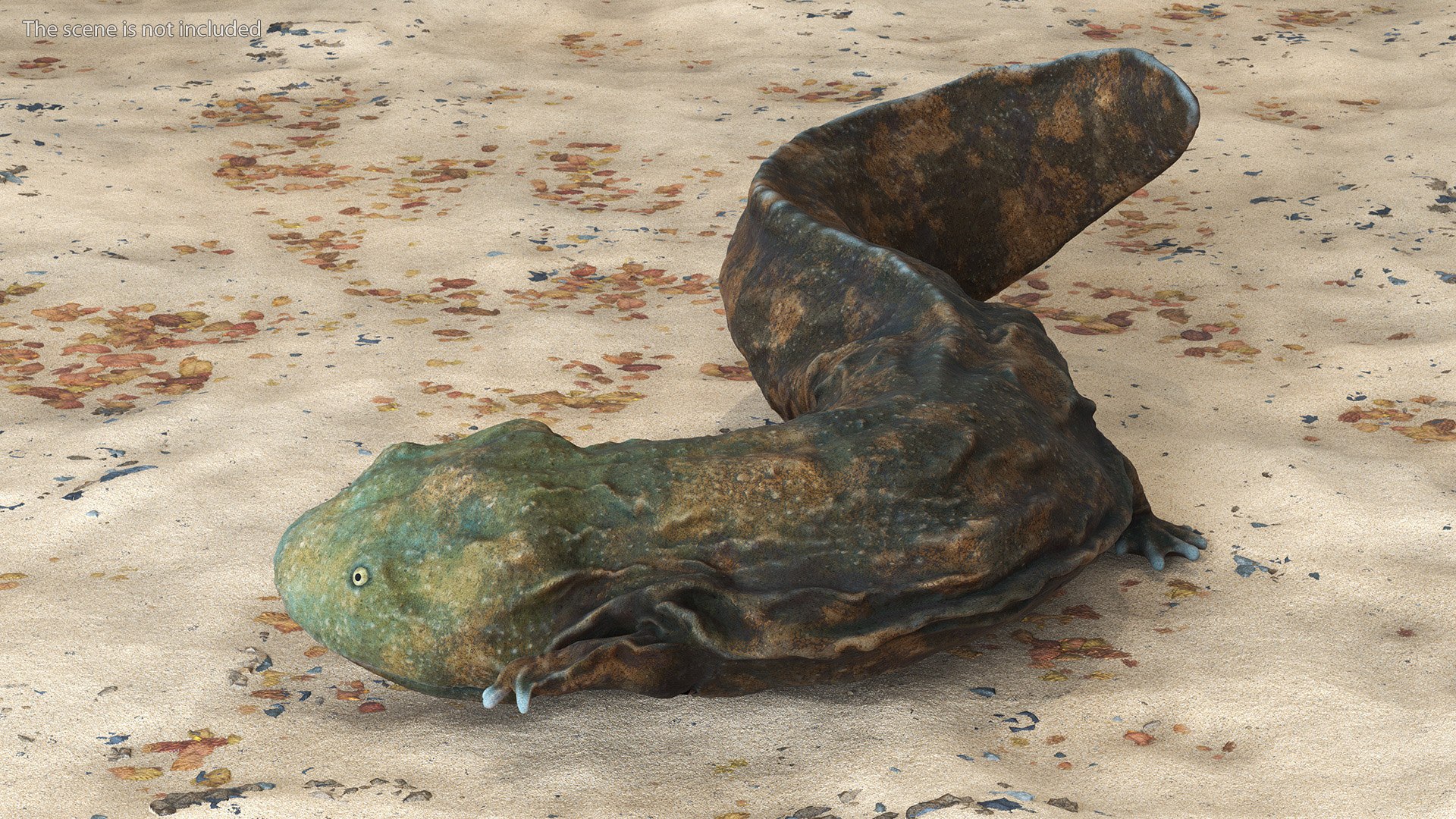 Andrias Davidianus Light Lying 3D model https://p.turbosquid.com/ts-thumb/IX/twbcN8/pe/andriasdavidianuslightlyingmb3dmodel004/jpg/1716329024/1920x1080/fit_q87/40703b033c67447900641d9724edb182a247d4b8/andriasdavidianuslightlyingmb3dmodel004.jpg