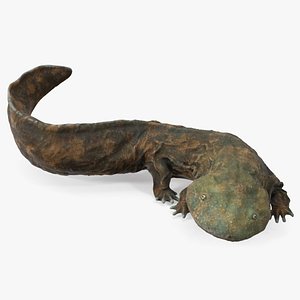 Andrias Davidianus Light Lying 3D model