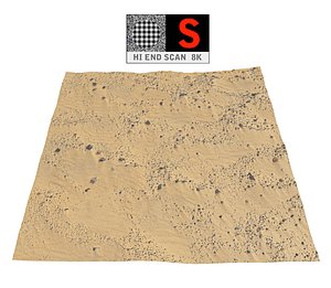 3D dune beach ground model