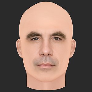 3D Low Poly Rory McCann Head