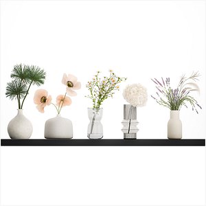 3D Collection of small bouquets of white wild flowers 474
