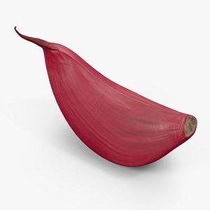 Clove Garlic Red 3D model