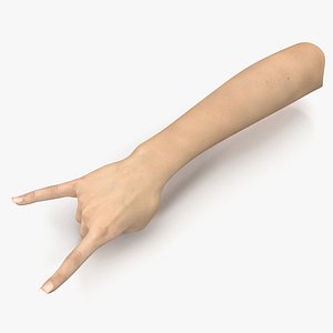 female hand 3 pose obj