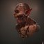 Orc