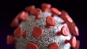 coronavirus virus simple model