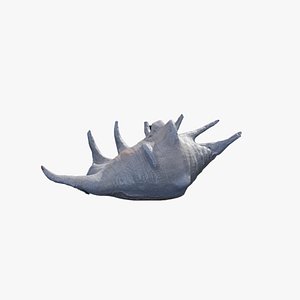Anydrafts Sea snail 04 3D model
