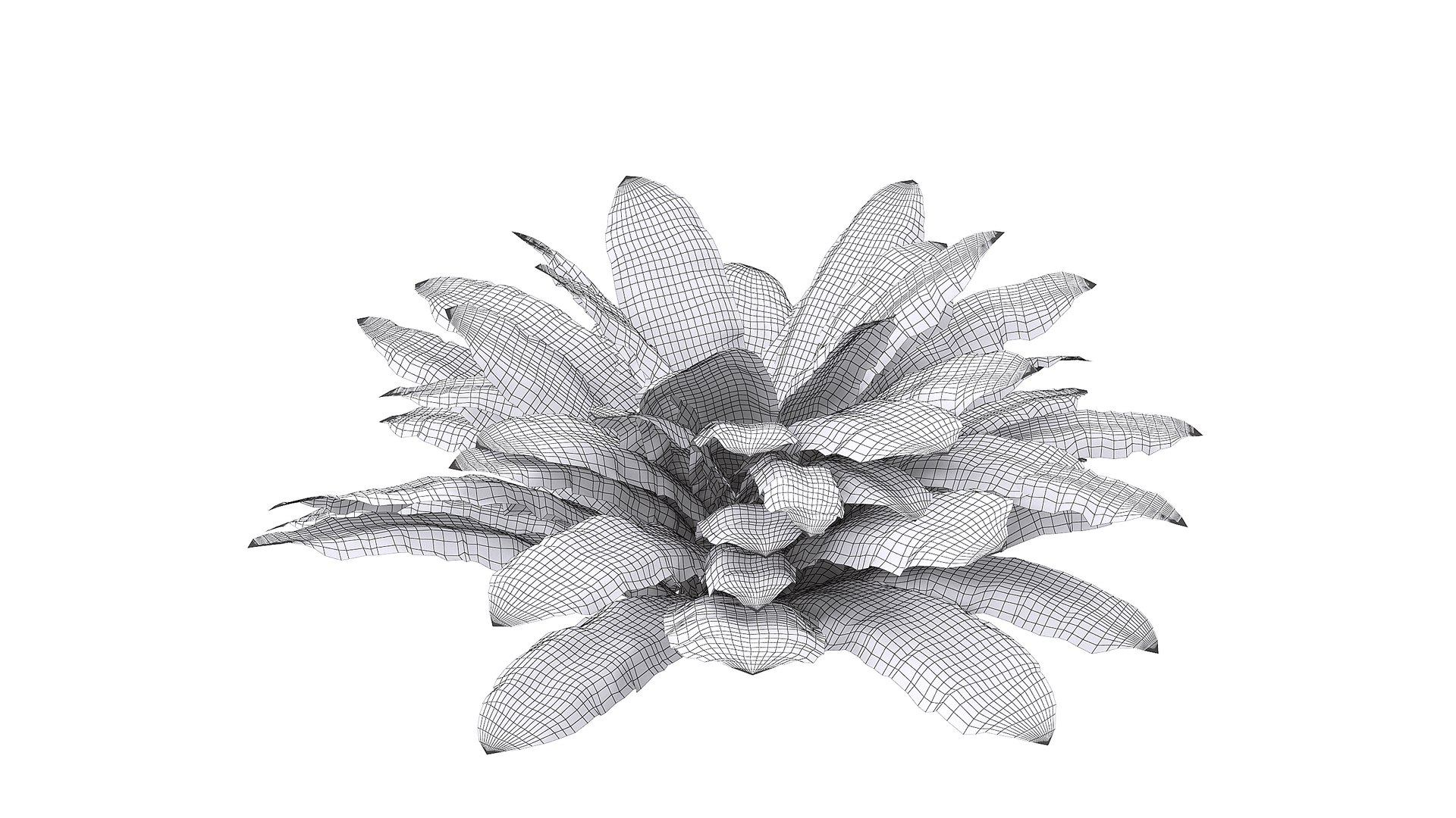 3D Sword Fern Bundle model https://p.turbosquid.com/ts-thumb/IY/dmNBEl/c5/wire_1/jpg/1749060123/1920x1080/fit_q87/96bdda91b77e7613c4b962655b5088db1f1ad953/wire_1.jpg