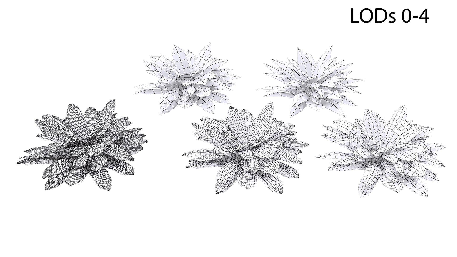 3D Sword Fern Bundle model https://p.turbosquid.com/ts-thumb/IY/dmNBEl/mT/wire_0000/jpg/1749060081/1920x1080/fit_q87/a0e361324afd05be86f36916b6dfa697e75198b1/wire_0000.jpg