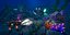 First Person Shooter Underwater Asset Pack