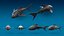 First Person Shooter Underwater Asset Pack