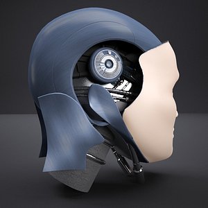 Robot head