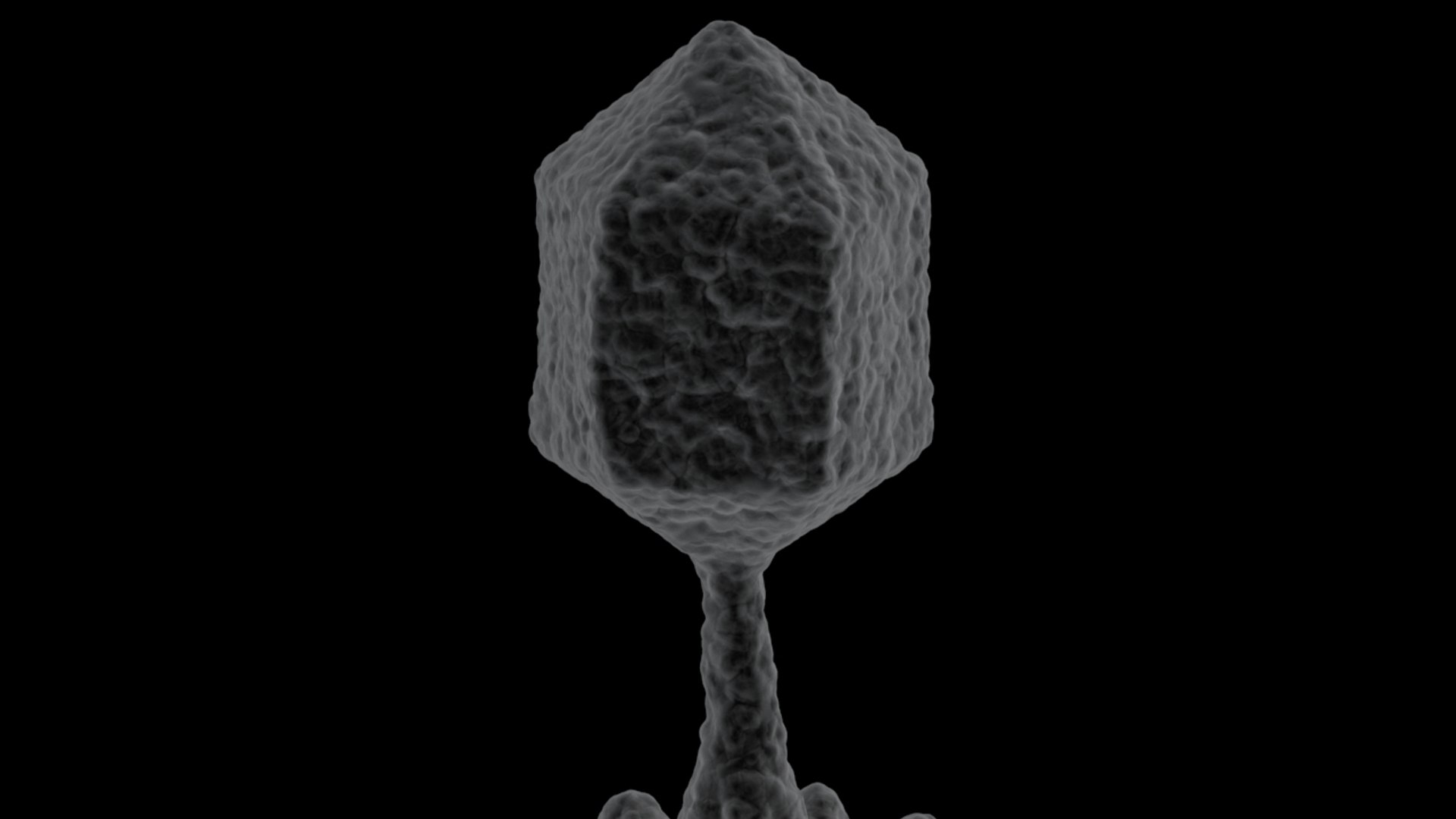 3D 2 bacteriophage model https://p.turbosquid.com/ts-thumb/IY/ks1xqb/0rNnXXO3/virus_2/jpg/1532516943/1920x1080/fit_q87/f510605a1e5875a1be71013a28c4d544021dedf6/virus_2.jpg